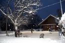 gal/Saison 2021/Galerie   1 Wintertraining 16.01.2021/_thb_IMG_7624.JPG